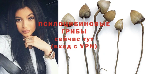 винт Приозерск