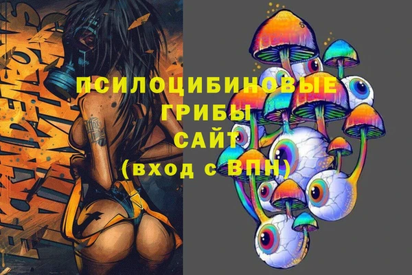 apvp Протвино