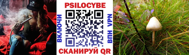 Галлюциногенные грибы прущие грибы  Семилуки 