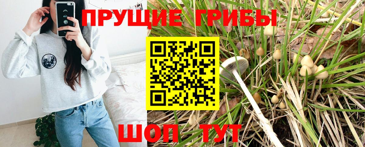 Псилоцибиновые грибы Magic Shrooms  Семилуки 