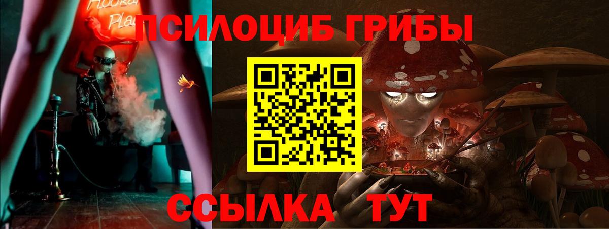 Семилуки  Псилоцибиновые грибы мицелий  Вход с VPN  купить наркотики сайты  Галлюциногенные грибы GOLDEN TEACHER 