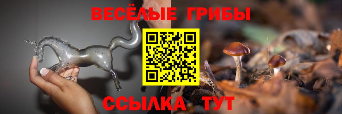 Галлюциногенные грибы Cubensis Семилуки